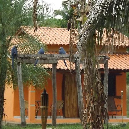 Pousada Reserva Ecologica Jaguar Pocone Bagian luar foto